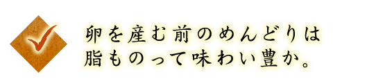 ◇卵を産む前のめんどりは