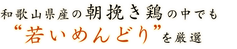 和歌山県産の朝引き鶏の中でも