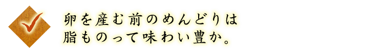 ◇卵を産む前のめんどりは